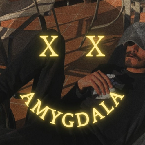 AMIGDALA